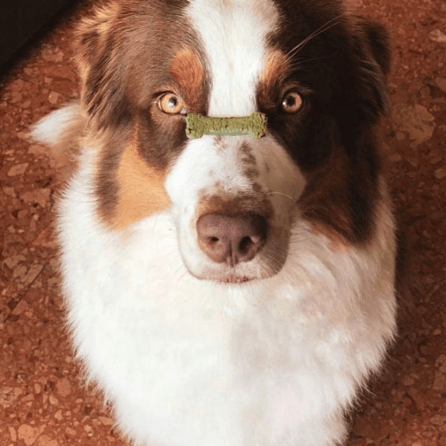 Porto Spirit , Spirulina & Appel - Afbeelding 5