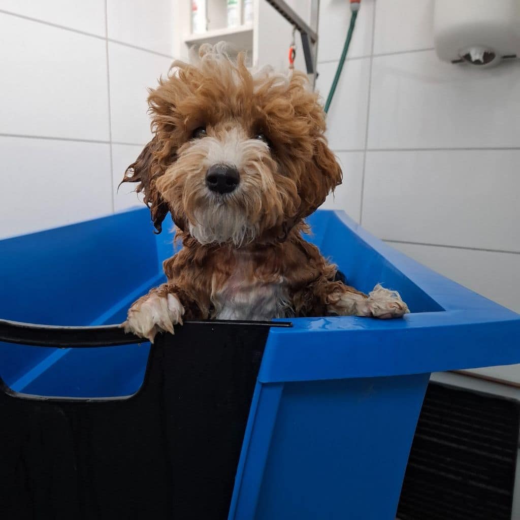 trimsalonbehandeling