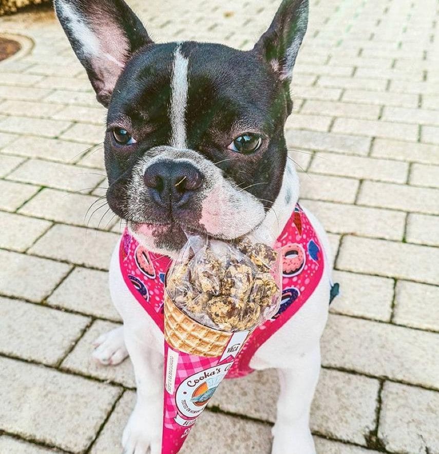 Beijinhos Rundvlees - Afbeelding 3