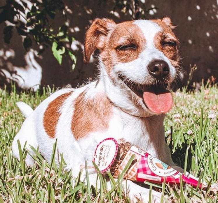 Beijinhos Rundvlees - Afbeelding 4