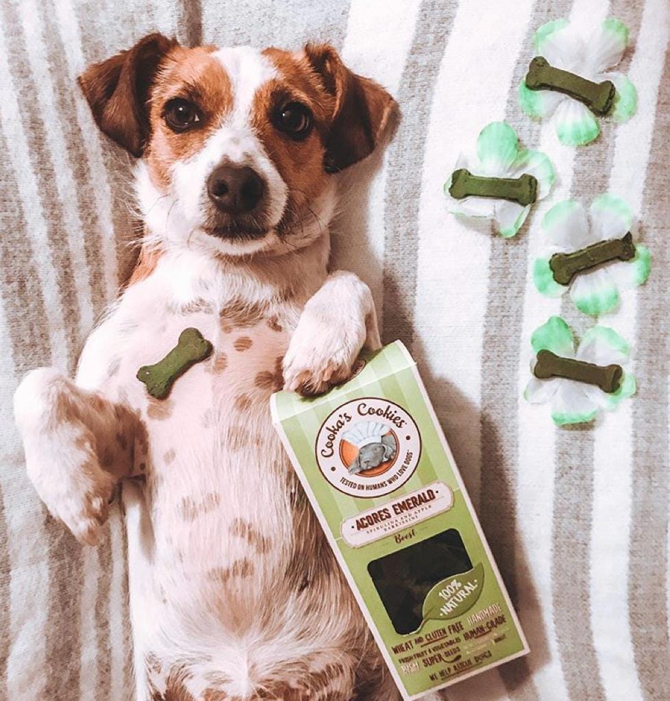 Porto Spirit , Spirulina & Appel - Afbeelding 4