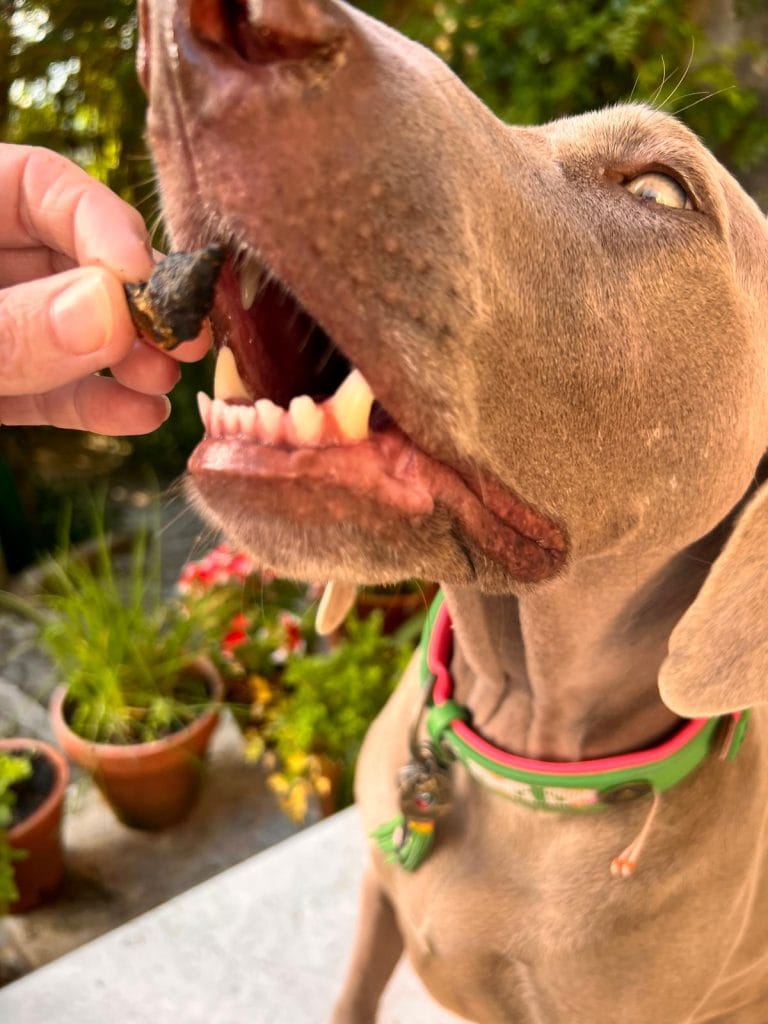 Chicken Truffles - Afbeelding 4