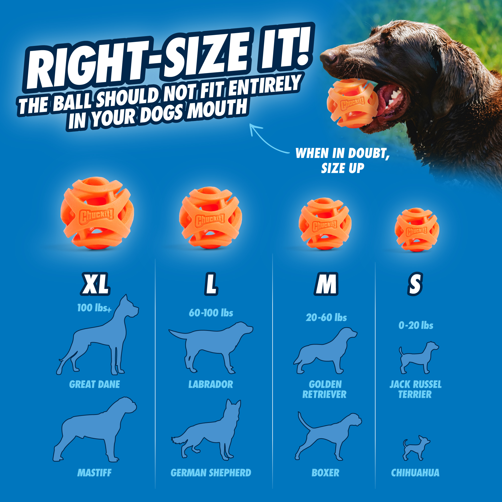 Chuckit! Air Fetch Ball L - Afbeelding 3