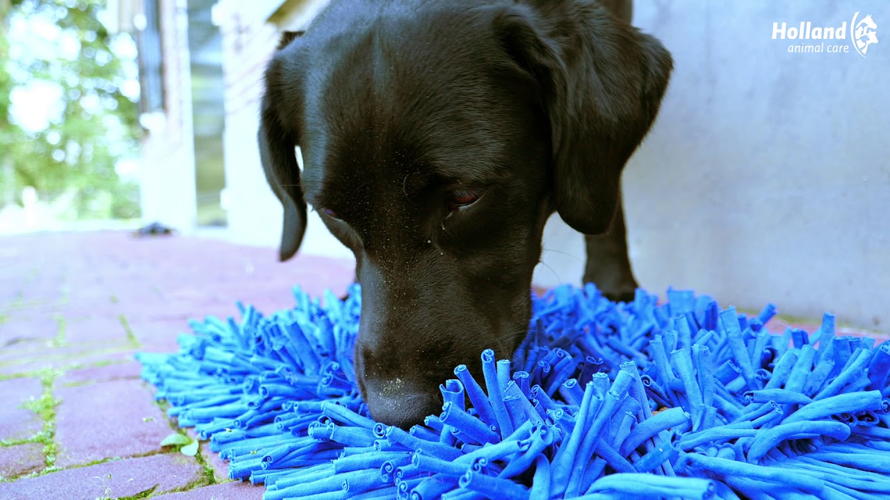 Eat Slow Live Longer Play Mat Roze - Afbeelding 3