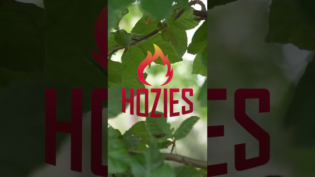 Hozies Trixy Trumpet S - Afbeelding 2