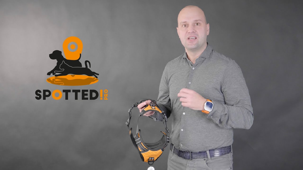Spotted! Pro No Pull Harnas Donker Grijs XL - Afbeelding 4