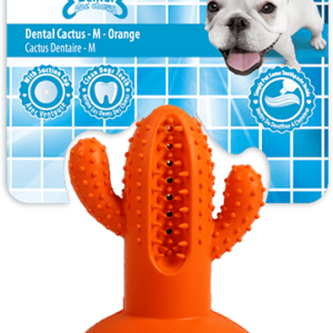 AFP Dental Chews - Dental Cactus M Oranje
