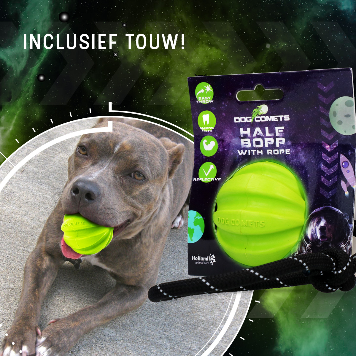 Dog Comets Hale Bopp Met Touw Groen - Afbeelding 4