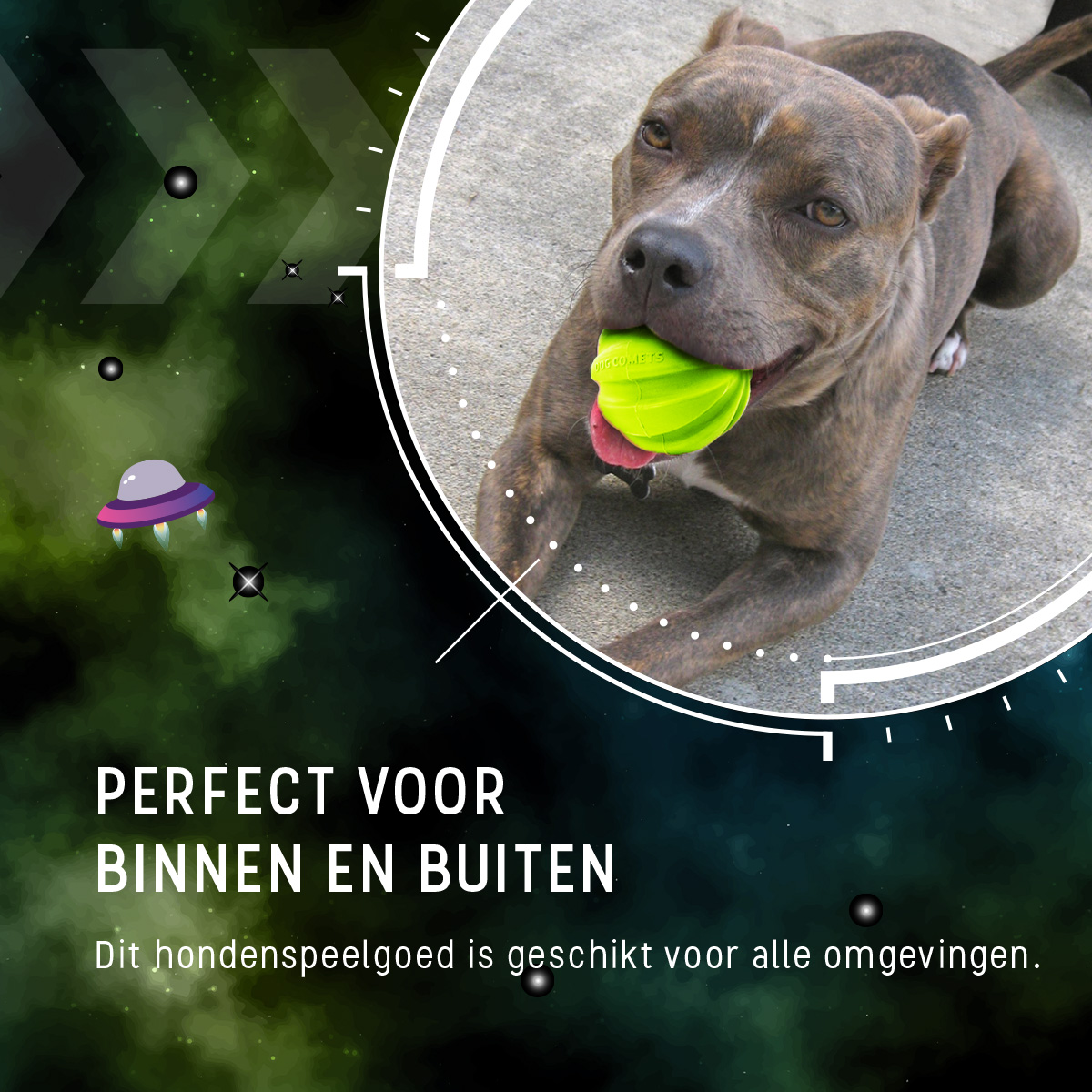 Dog Comets Hale Bopp Met Touw Groen - Afbeelding 6