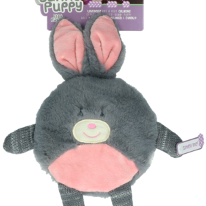 Bunny Puppy Flat Rabbit