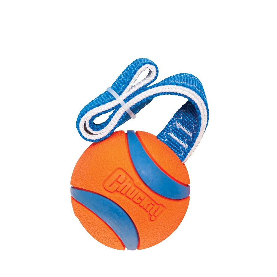 Chuckit! Ultra Tug L - Afbeelding 3