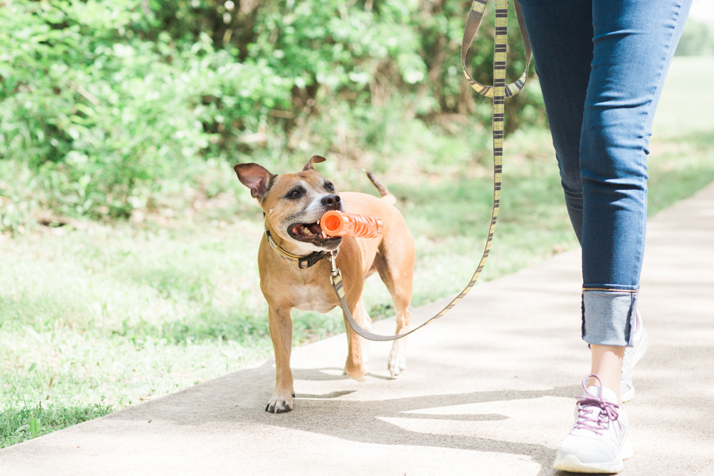 Chuckit! Air Fetch Stick - Afbeelding 4