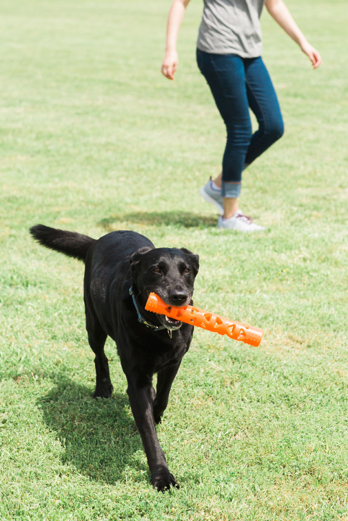 Chuckit! Air Fetch Stick - Afbeelding 5