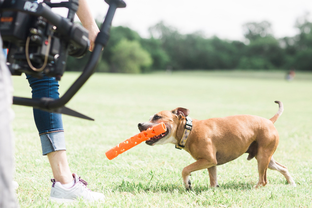 Chuckit! Air Fetch Stick - Afbeelding 6