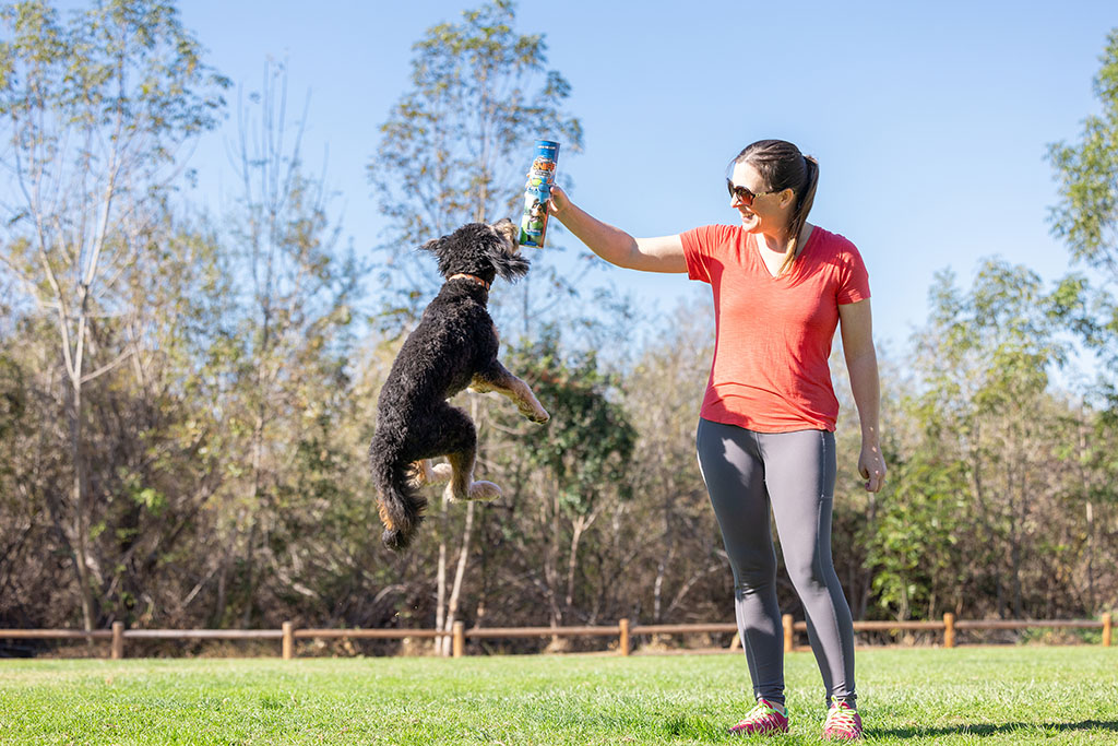 Chuckit! Sniff Fetch Ball Bacon & Peanut Butter M 4-pack - Afbeelding 4