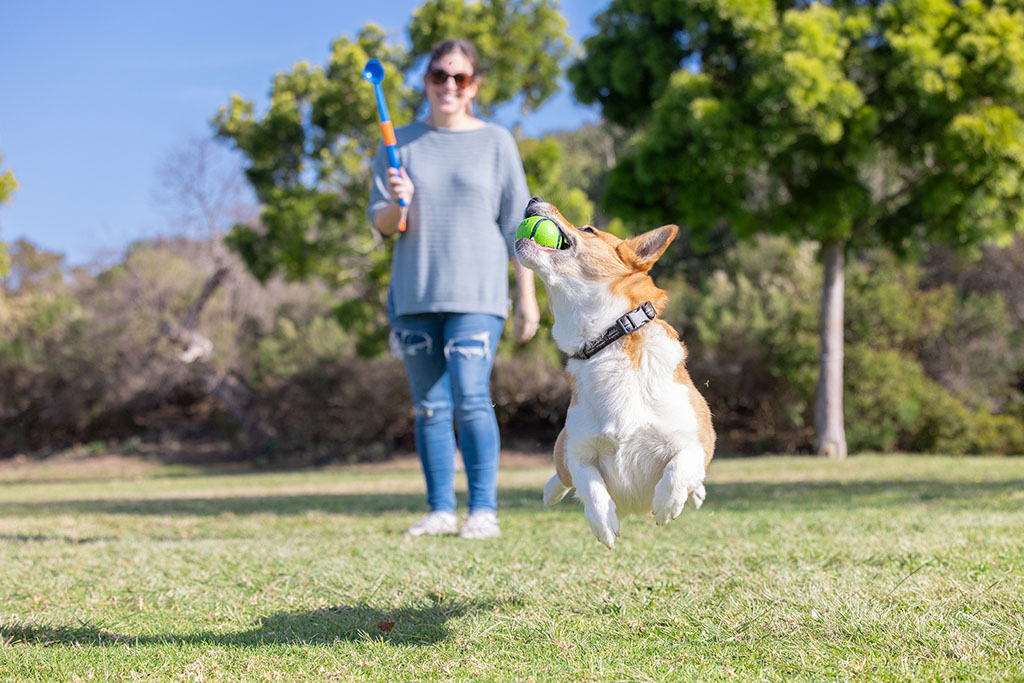Chuckit! Sniff Fetch Ball Bacon & Peanut Butter M 4-pack - Afbeelding 5