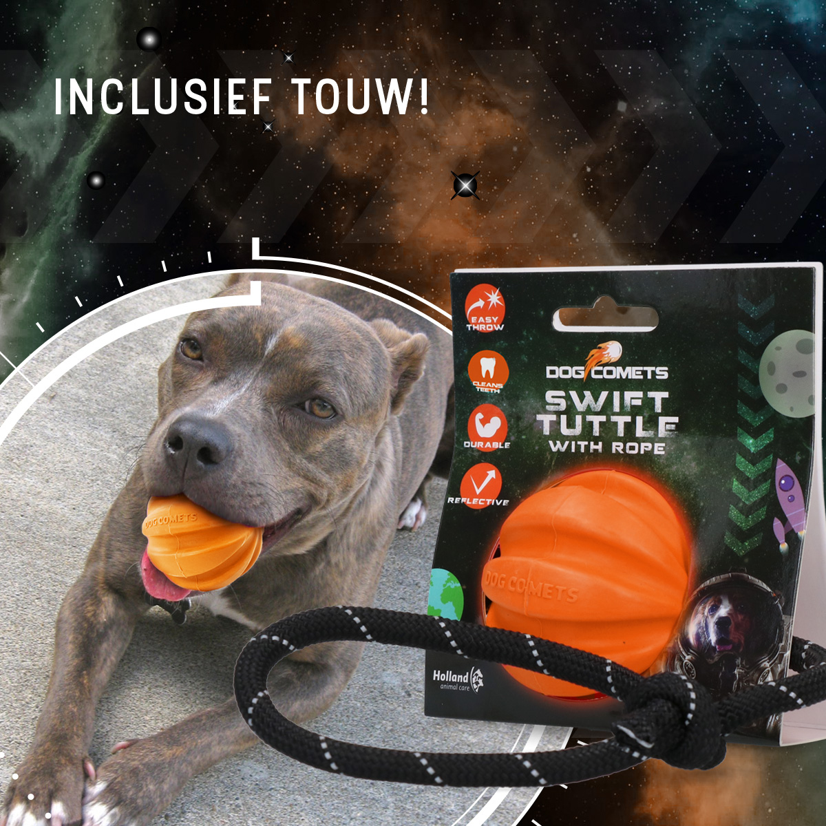 Dog Comets Swift Tuttle Met Touw Oranje - Afbeelding 4