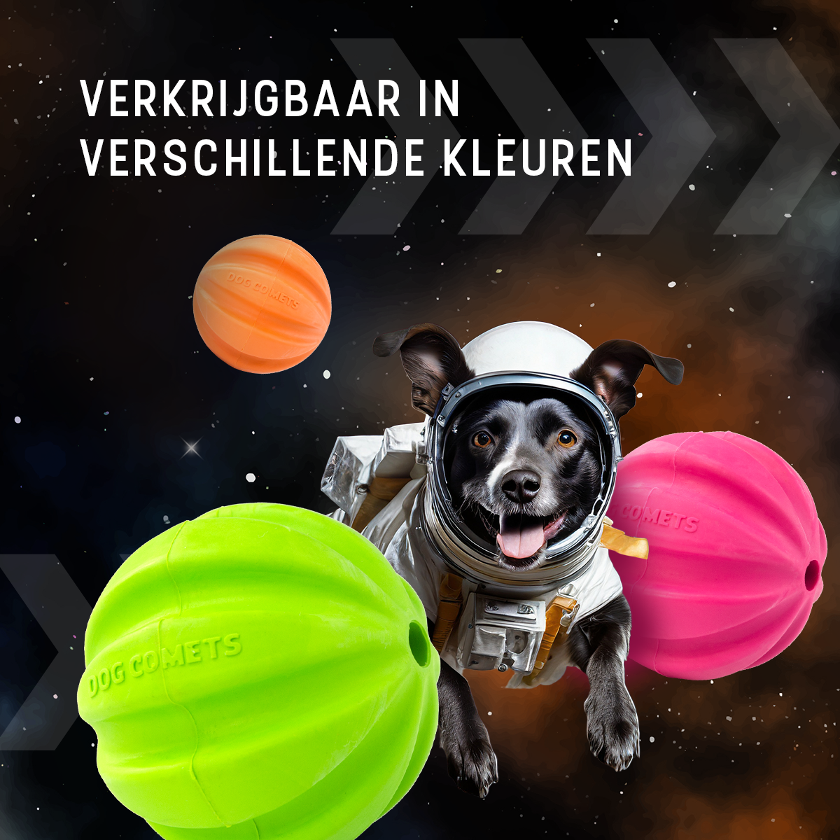 Dog Comets Swift Tuttle Met Touw Oranje - Afbeelding 3