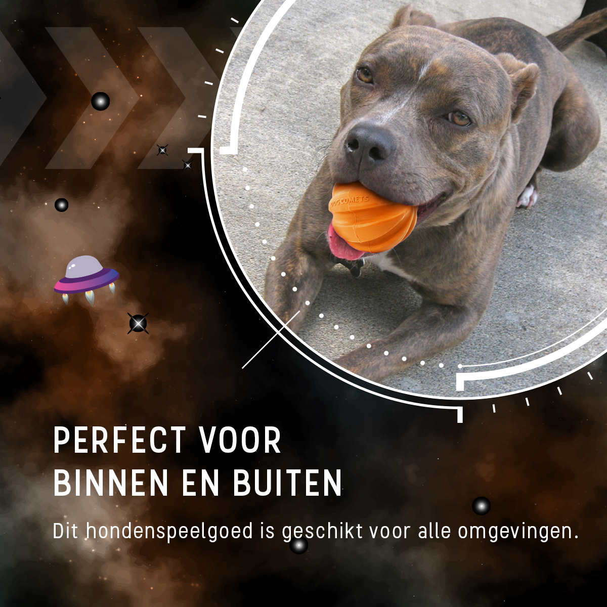 Dog Comets Swift Tuttle Met Touw Oranje - Afbeelding 6
