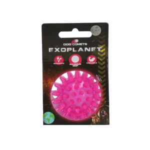 Dog Comets Exoplanet Egelbal S Roze