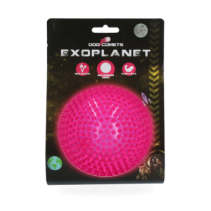 Dog Comets Exoplanet Egelbal L Roze
