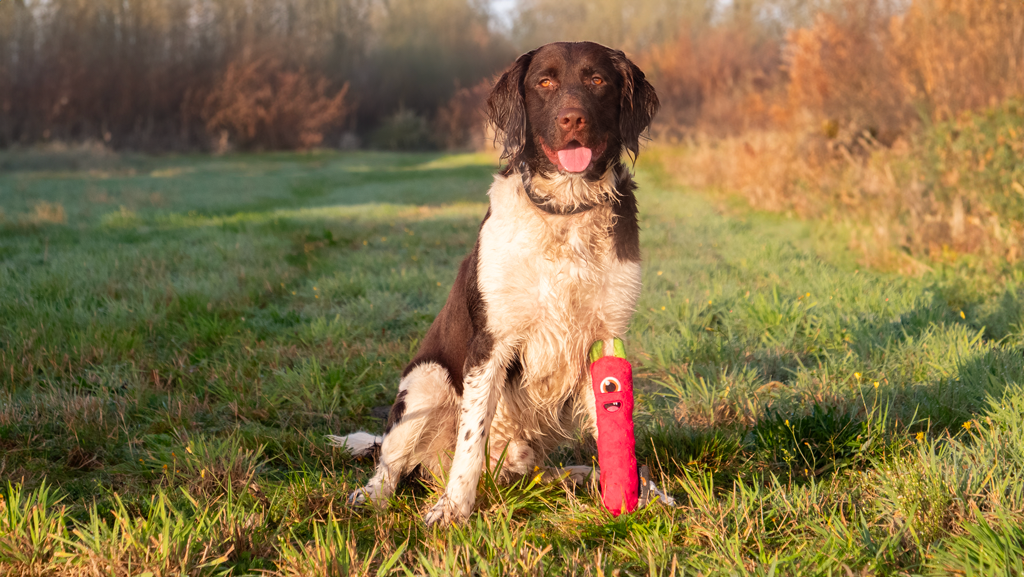 Dog Comets Invaders Roze M - Afbeelding 3
