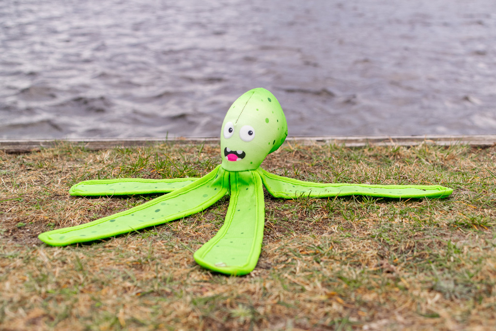 Dog Comets Alien Octo L Oranje - Afbeelding 5