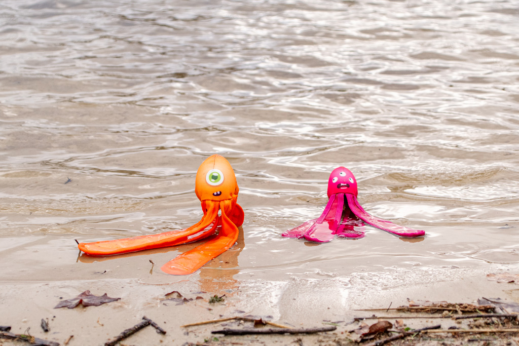 Dog Comets Alien Octo L Oranje - Afbeelding 6