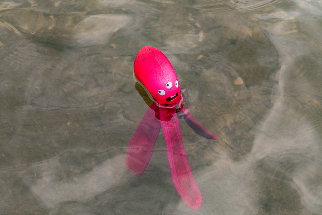 Dog Comets Alien Octo M Roze - Afbeelding 4