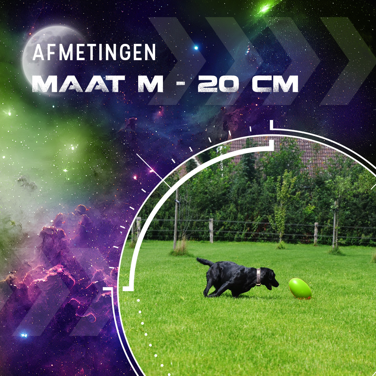 Dog Comets Pan-Stars Groen M - Afbeelding 3