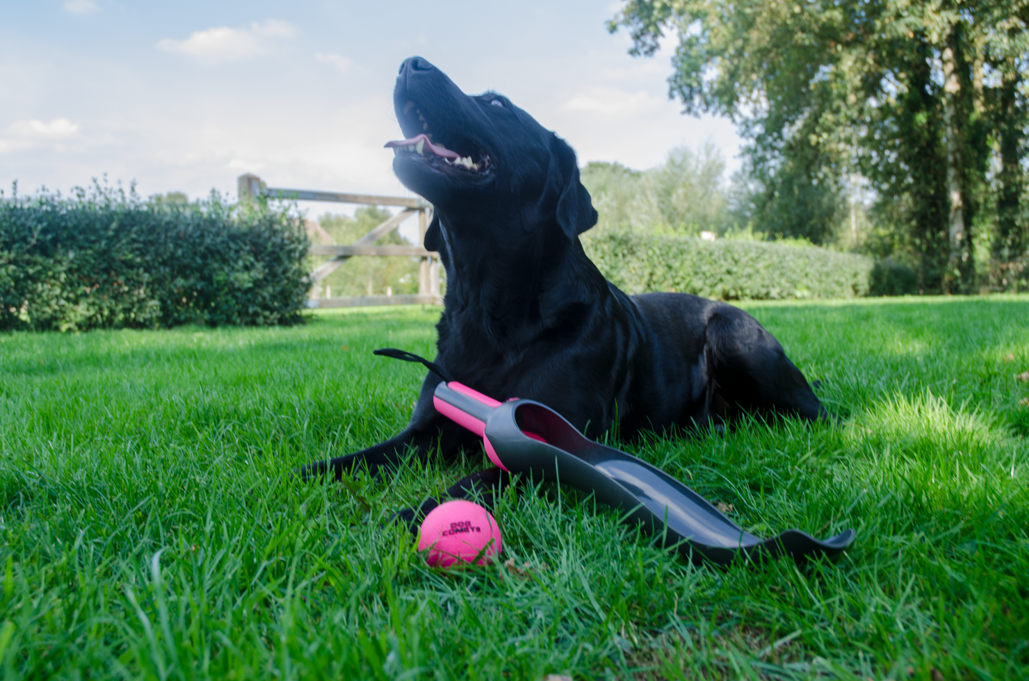 Dog Comets Star Launcher Roze - Afbeelding 4