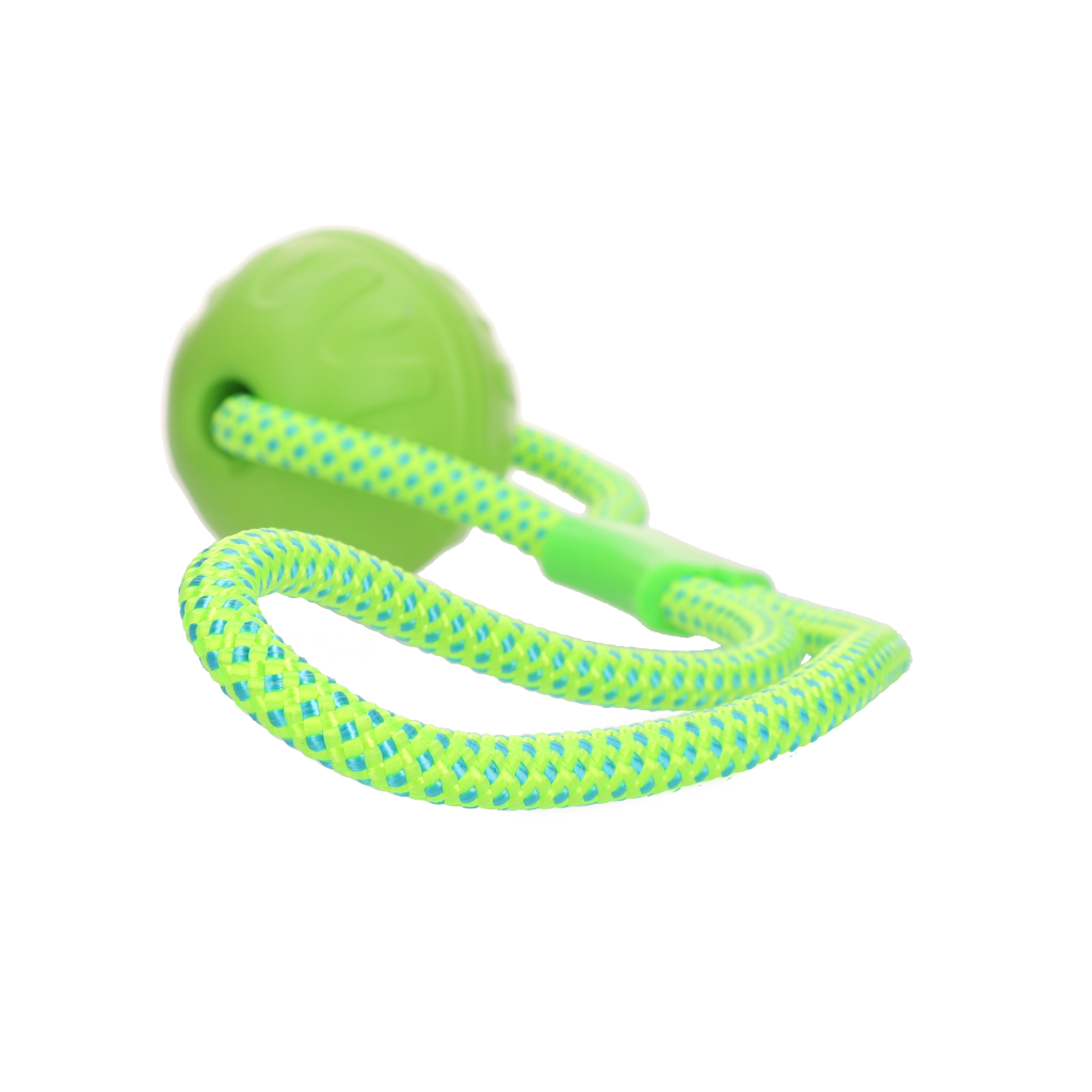 Dog Comets Vortex Loop Groen - Afbeelding 2