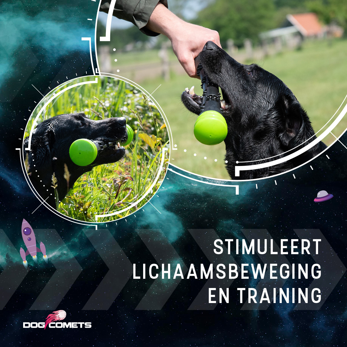 Dog Comets Meteor Werpstok Groen S - Afbeelding 6