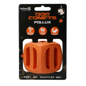 Dog Comets Pollux Oranje