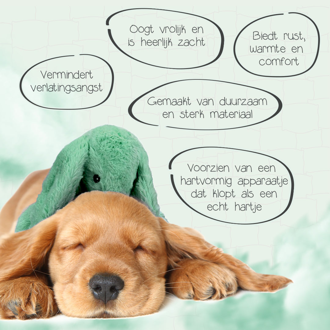 Cozy Dog Bunny Groen - Afbeelding 3