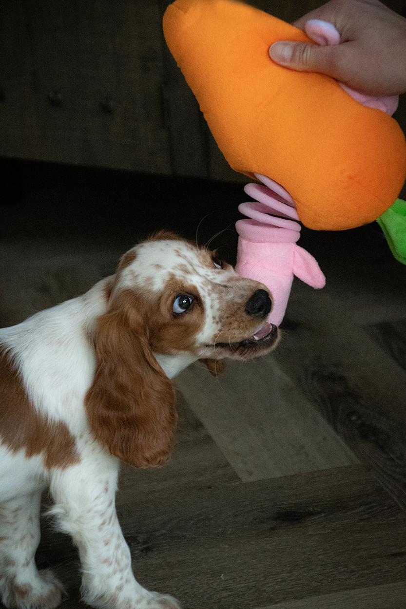 Double Wobble Carrot Conejos - Afbeelding 4