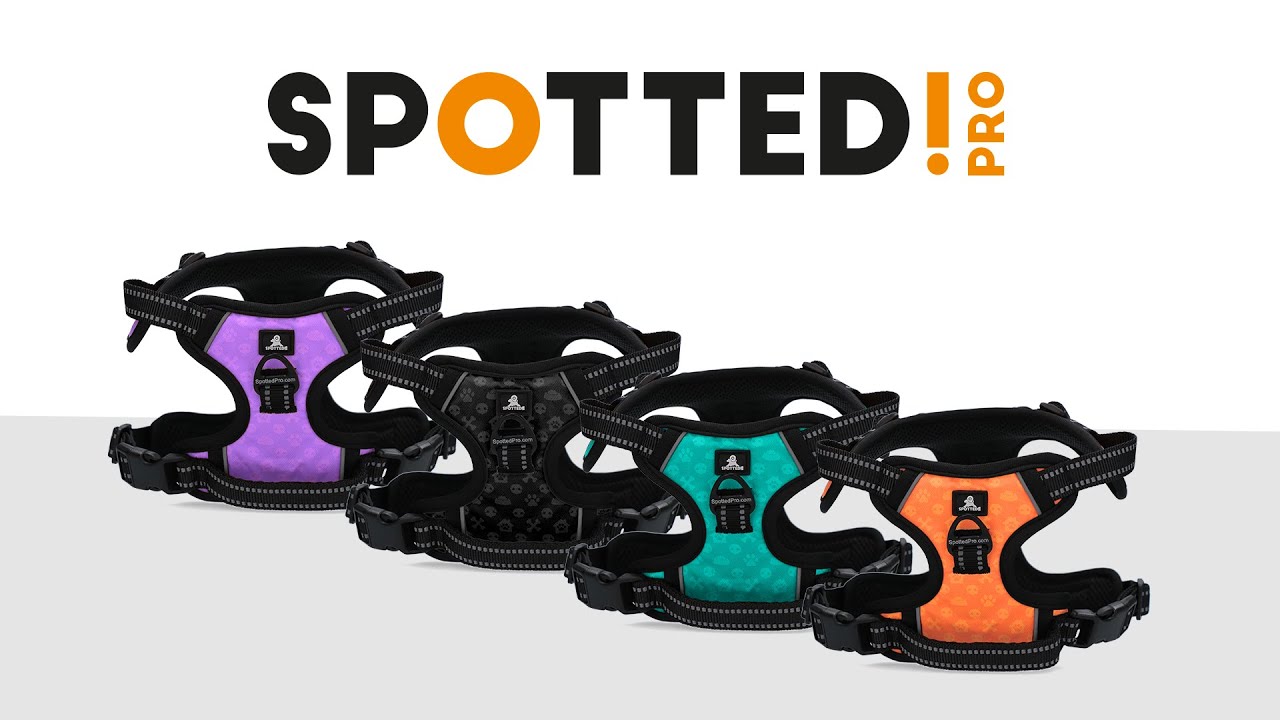 Spotted! Pro No Pull Harnas Paars S - Afbeelding 2