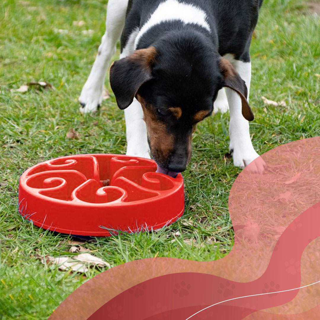 Eat Slow Live Longer Original Rood S - Afbeelding 3