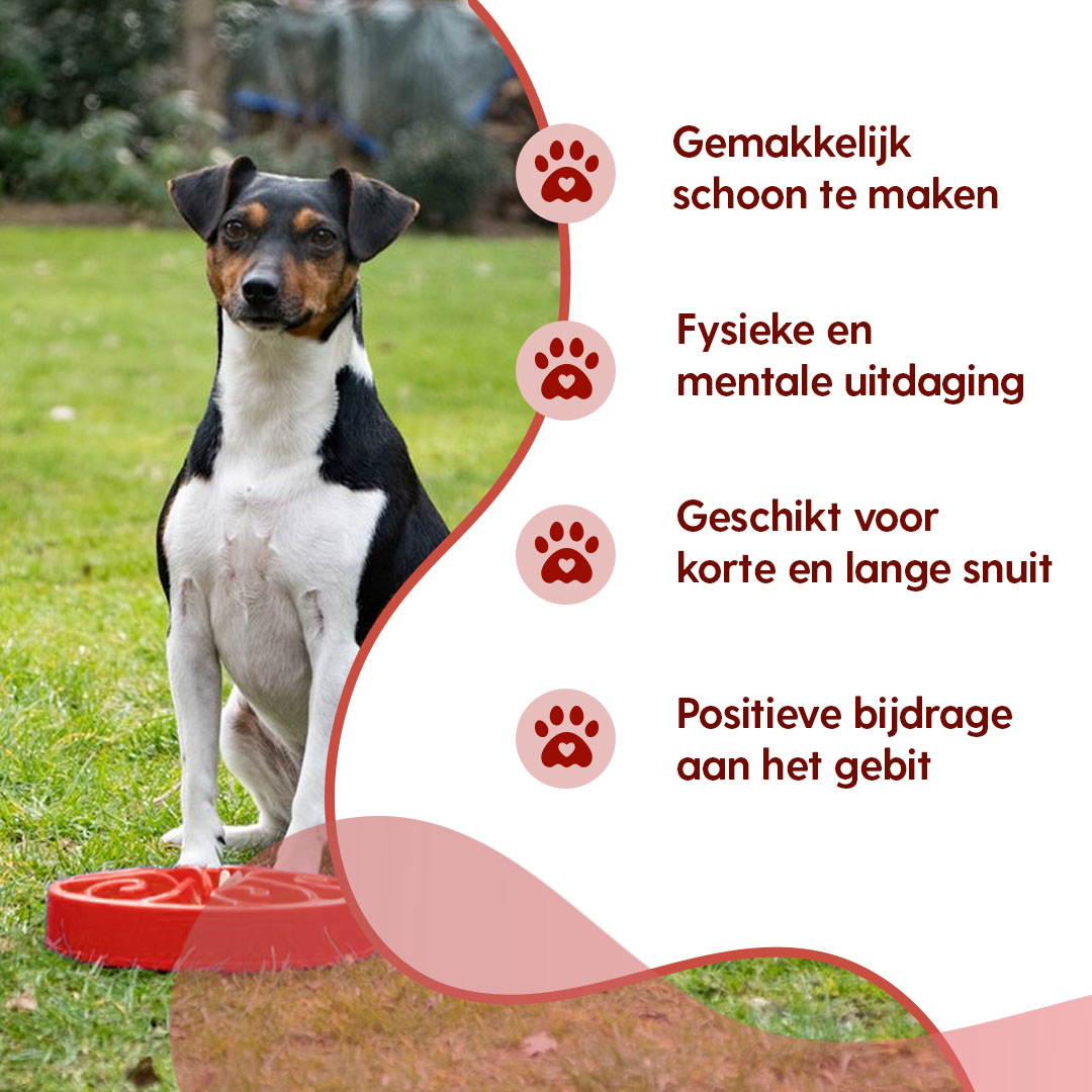 Eat Slow Live Longer Original Rood S - Afbeelding 5