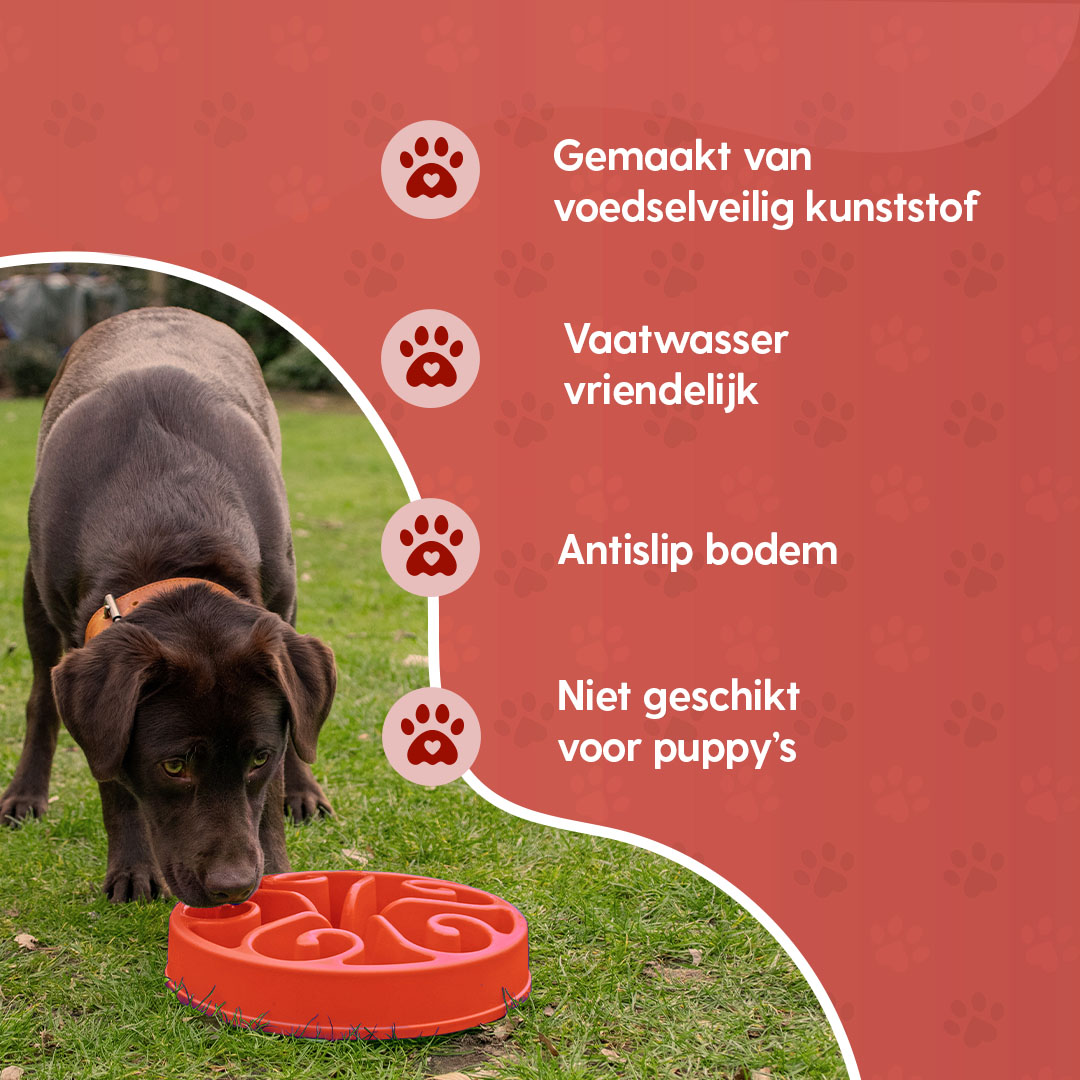 Eat Slow Live Longer Original Rood S - Afbeelding 4