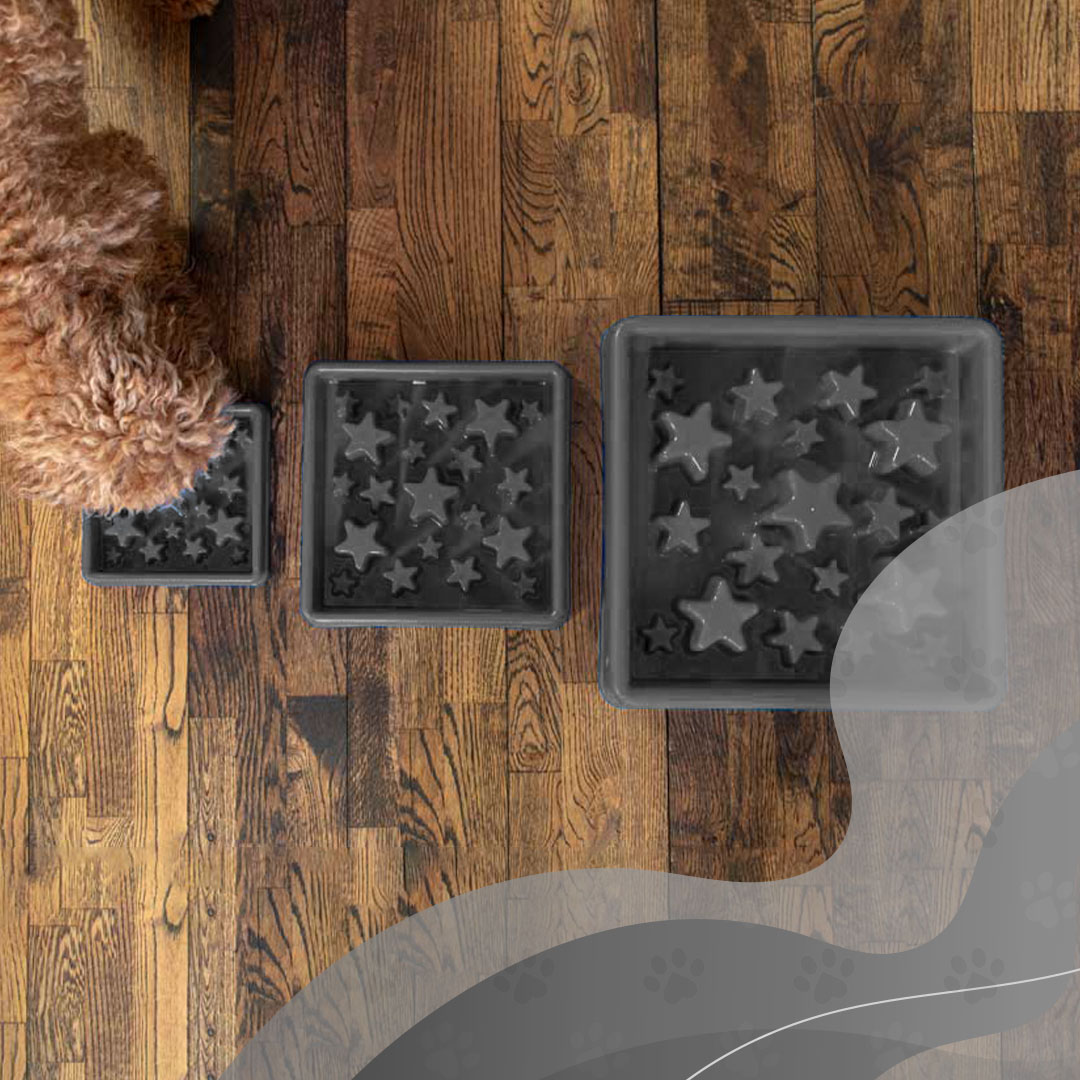 Eat Slow Live Longer Star Grijs XS - Afbeelding 3