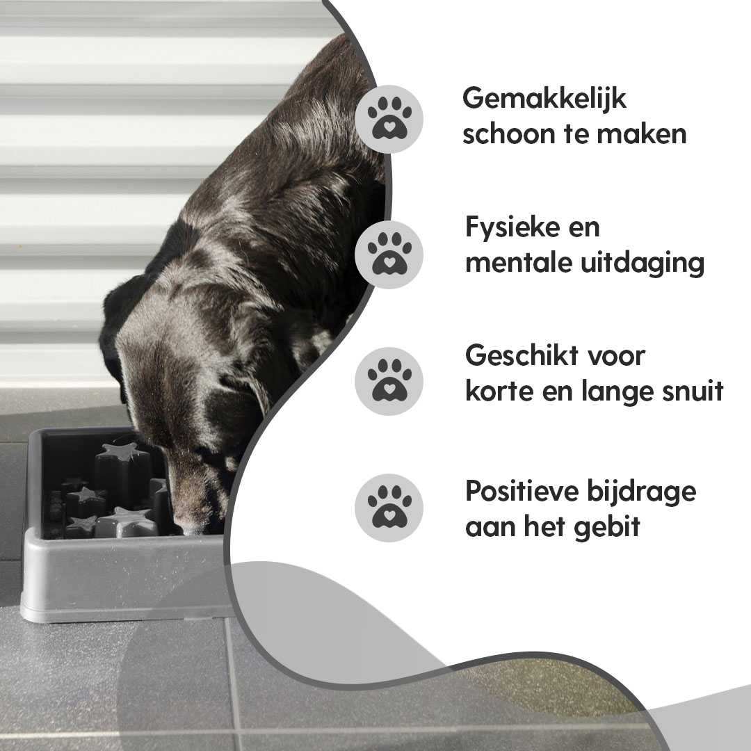 Eat Slow Live Longer Star Grijs XS - Afbeelding 4