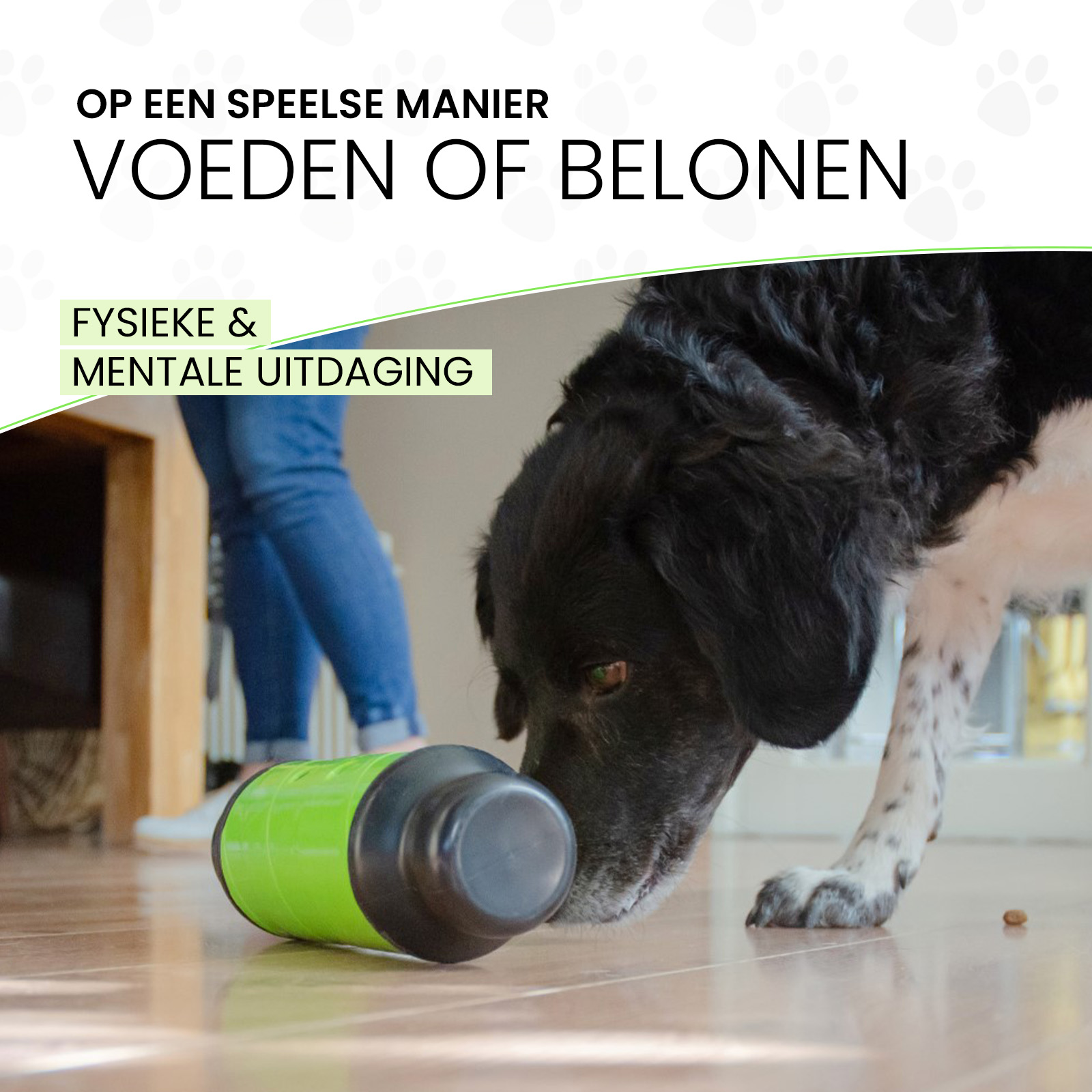 Eat Slow Live Longer Feed & Treat Roller Groen S - Afbeelding 6