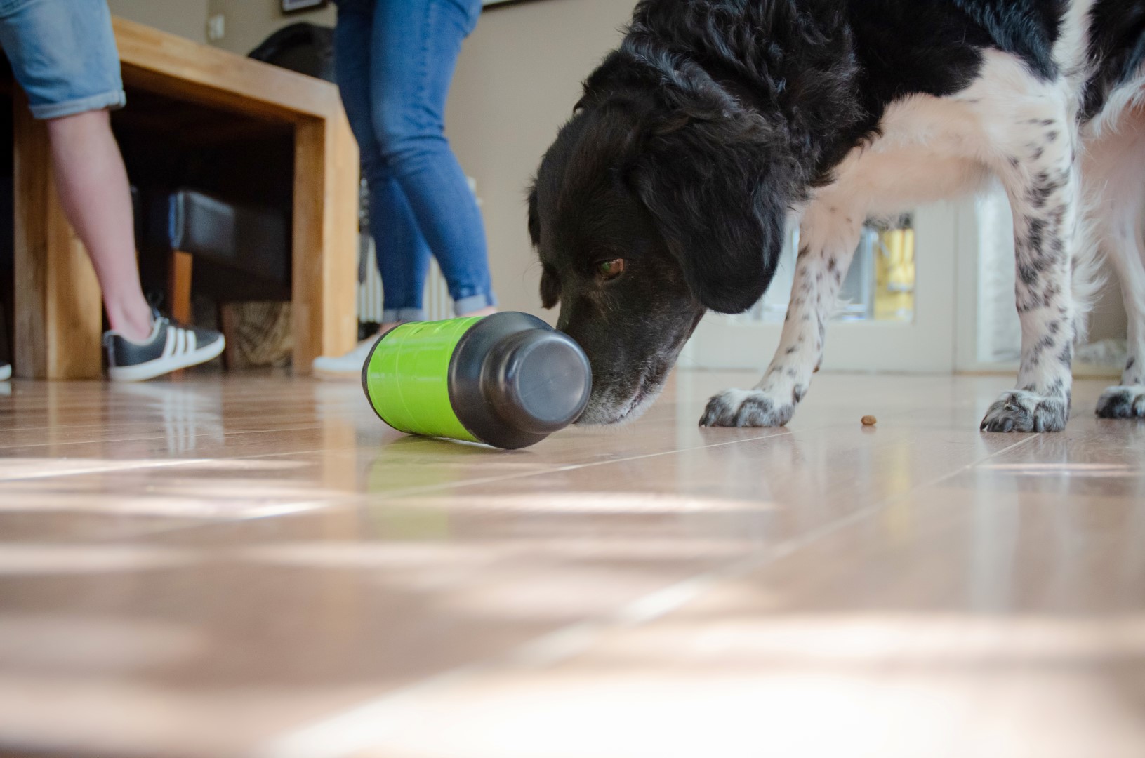 Eat Slow Live Longer Feed & Treat Roller Groen L - Afbeelding 3