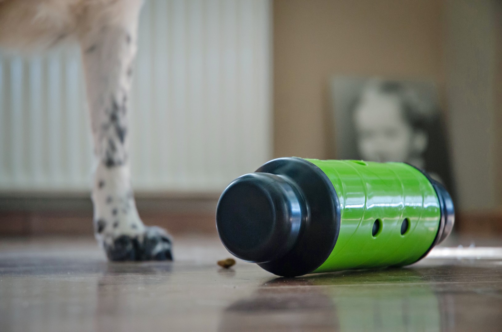 Eat Slow Live Longer Feed & Treat Roller Groen L - Afbeelding 2