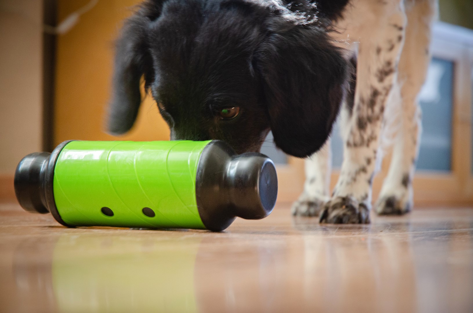 Eat Slow Live Longer Feed & Treat Roller Groen L - Afbeelding 5