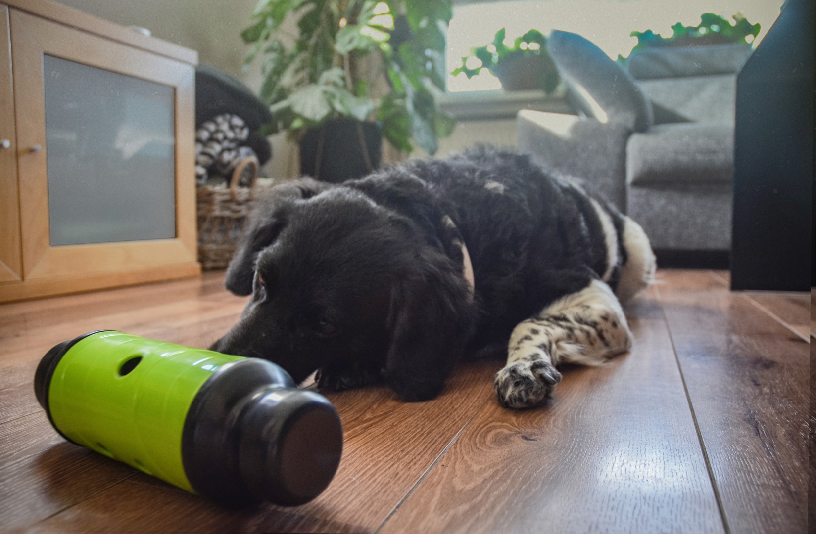 Eat Slow Live Longer Feed & Treat Roller Groen L - Afbeelding 4