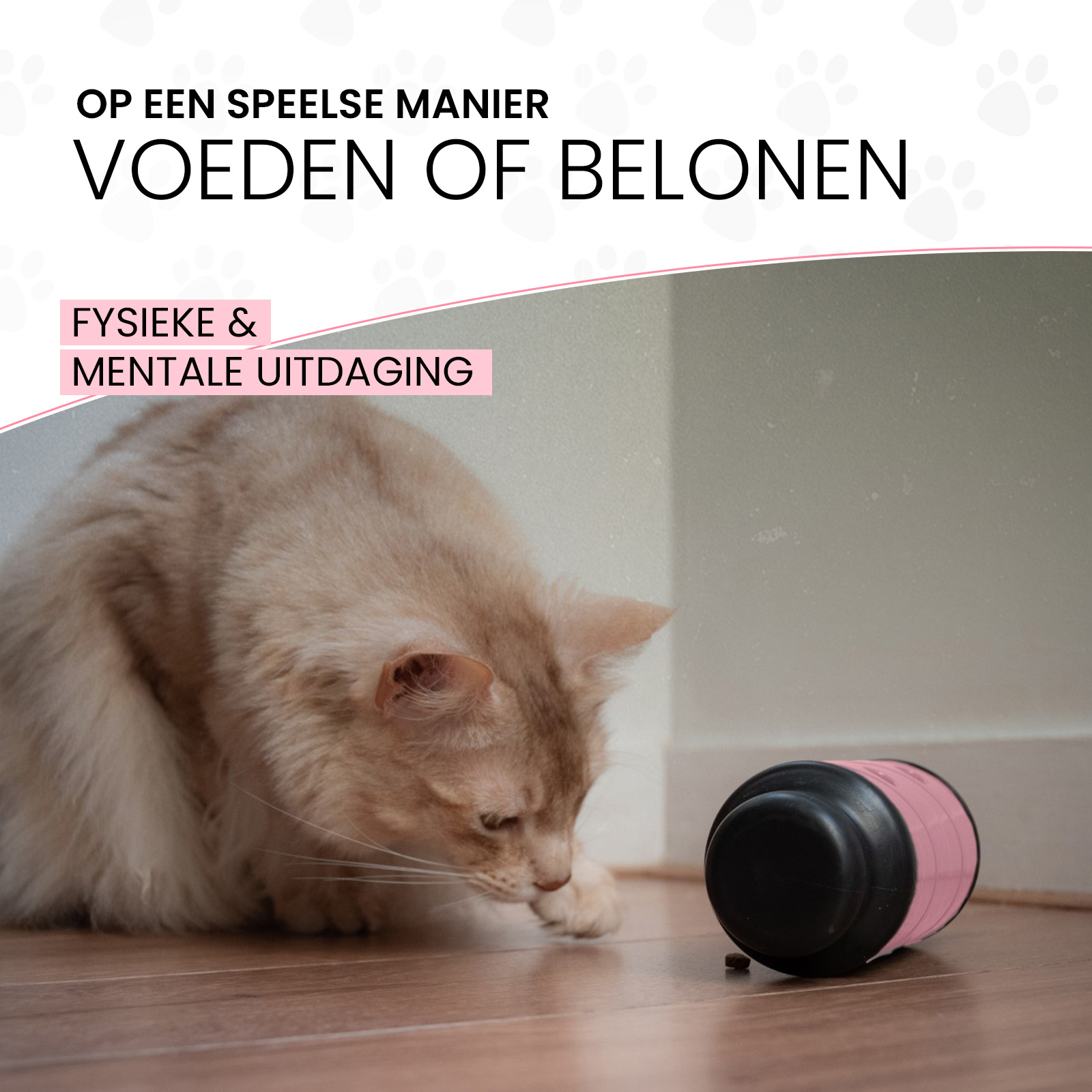 Eat Slow Live Longer Feed & Treat Roller Roze S - Afbeelding 5