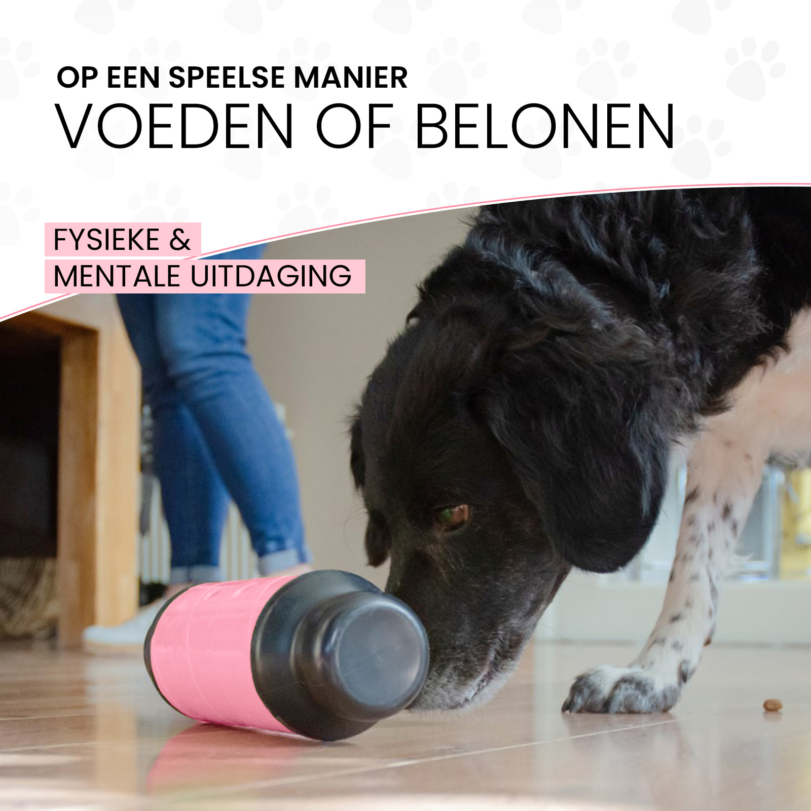 Eat Slow Live Longer Feed & Treat Roller Roze L - Afbeelding 3