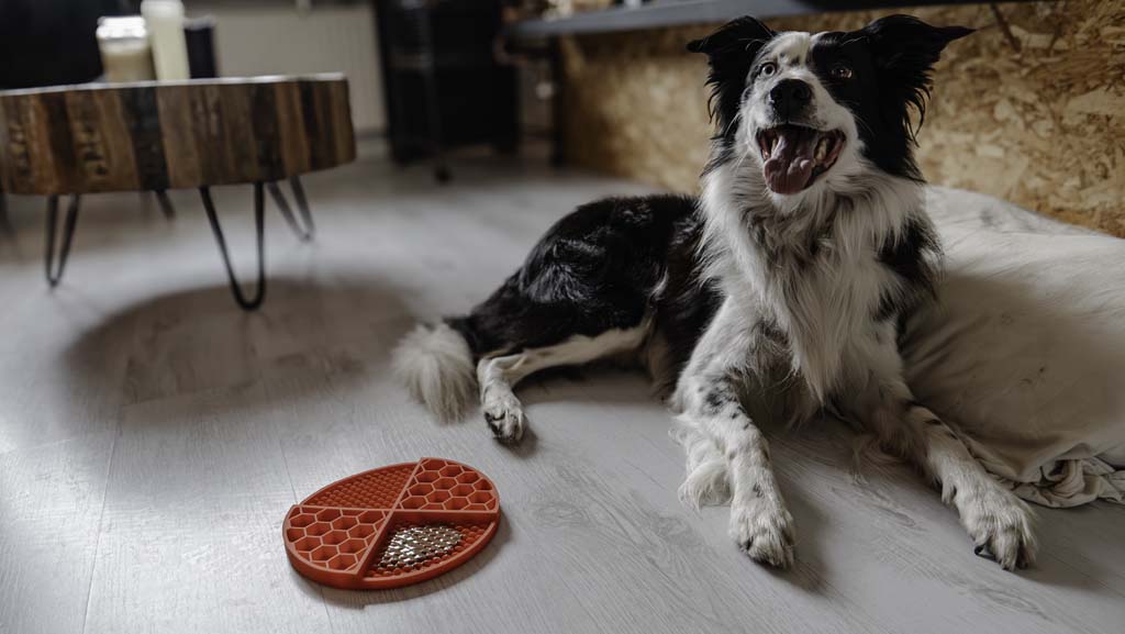 Eat Slow Live Longer Lick Mat Dimensions Circle Rood - Afbeelding 5